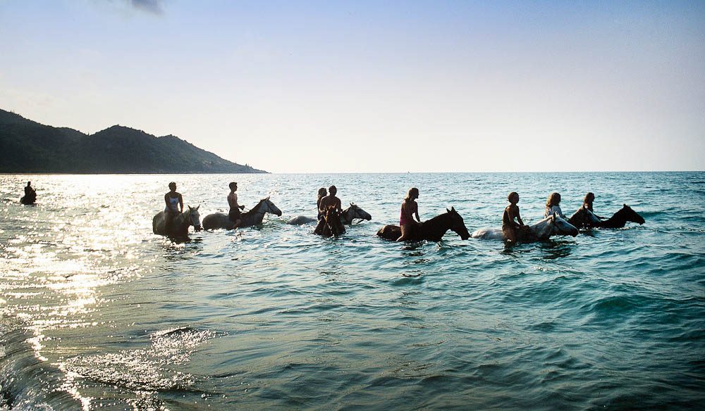 A swim with horses in where else but Horseshoe Bay, Magnetic Island