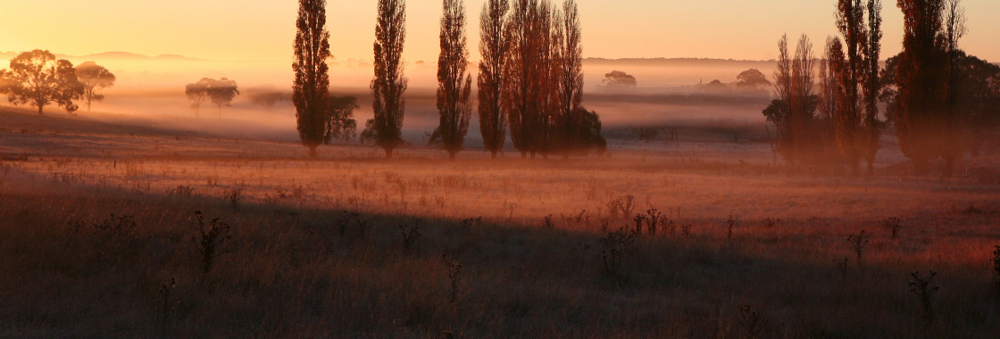 New South Wales