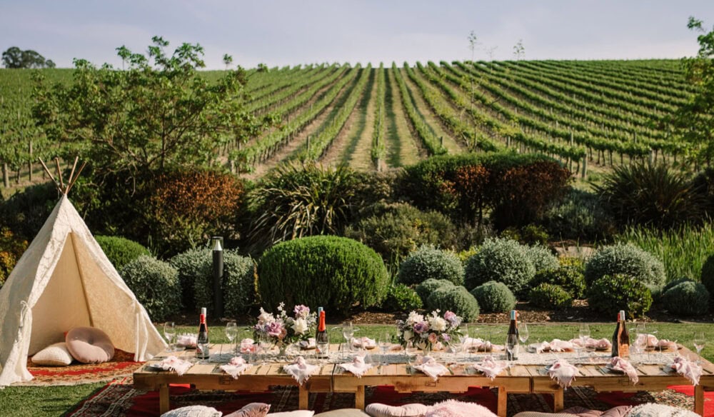 an outdoor picnic setup with a triangle tent overlooking the vines at Golding Wines