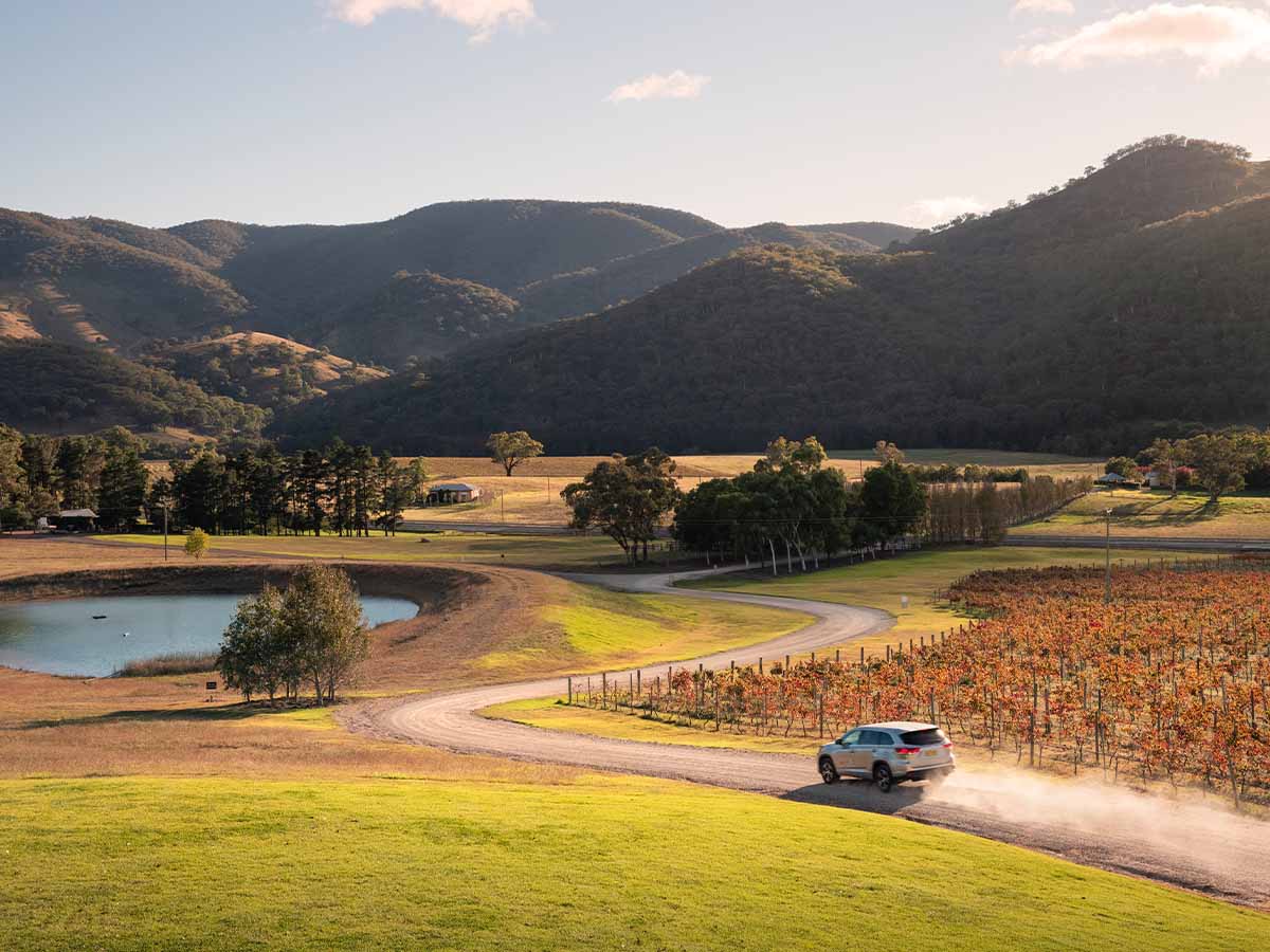 Logan Wines, near Mudgee, NSW, Australia