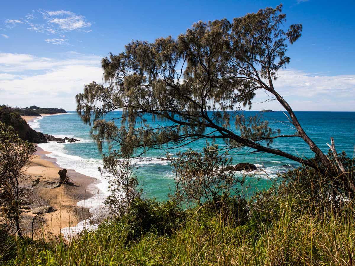 the Coffs Coast