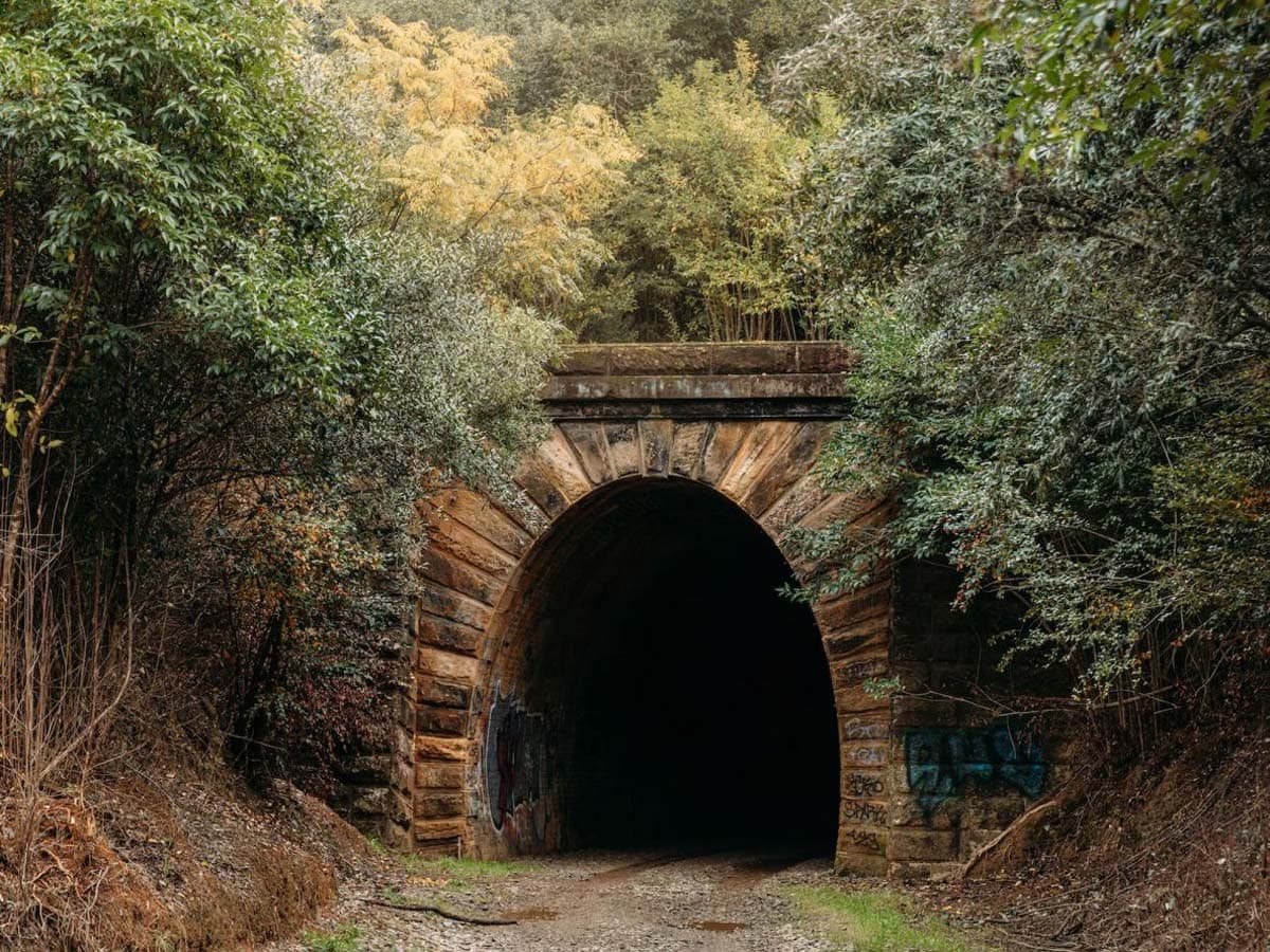 the dark entrance of Picton Mushroom Tunnel