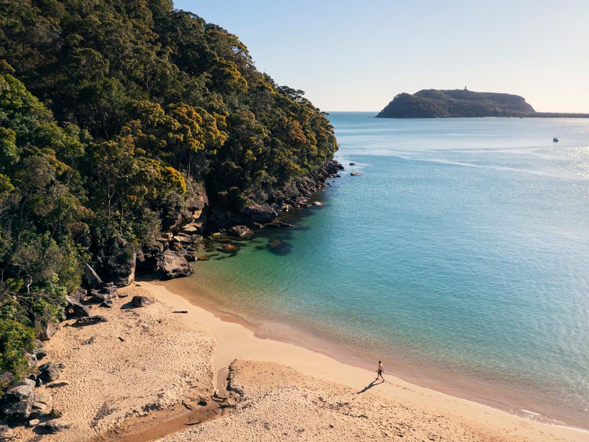 Man enjoying a morning walk along Resolute Beach in Ku-ring-gai National Park.