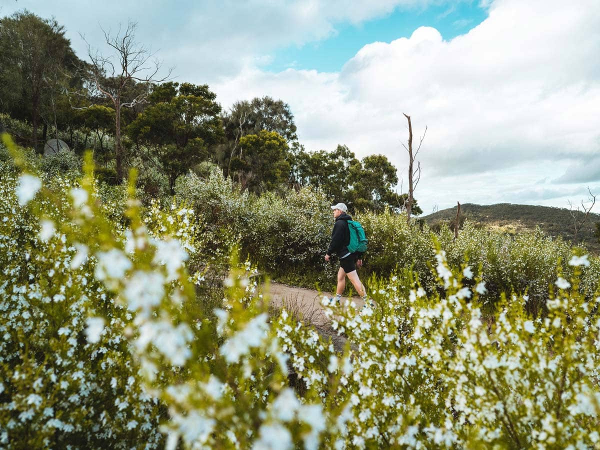 Picturesque scenes in You Yangs Regional Park.