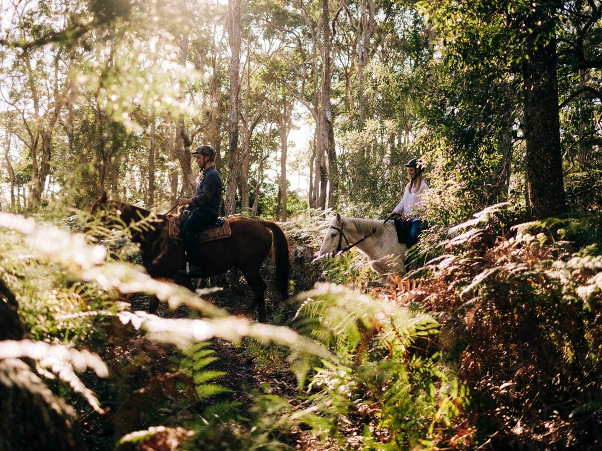 Zephyr Horses Byron Bay