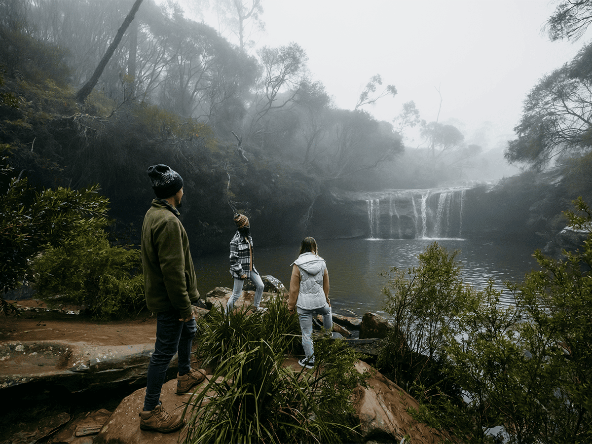 Kangaroo Valley camping at Carrington Falls campground.