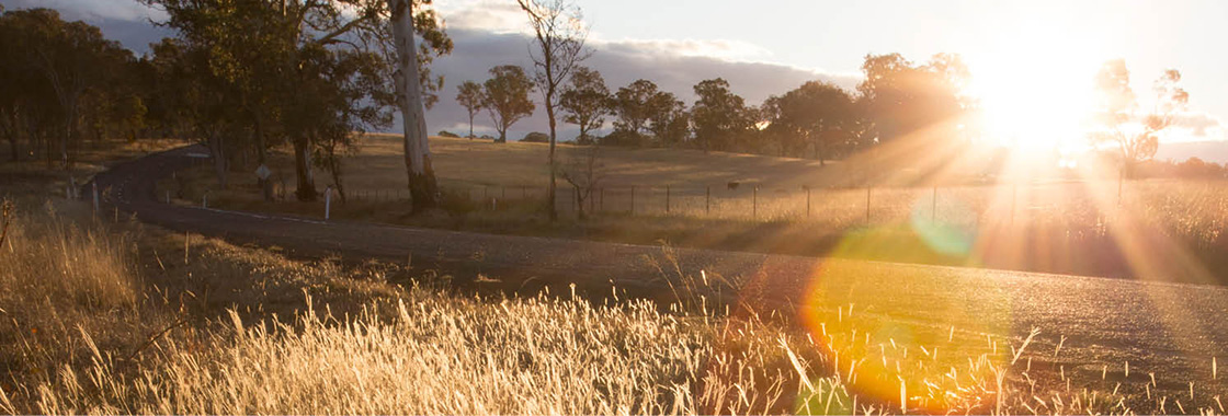 A sunrise in New England NSW