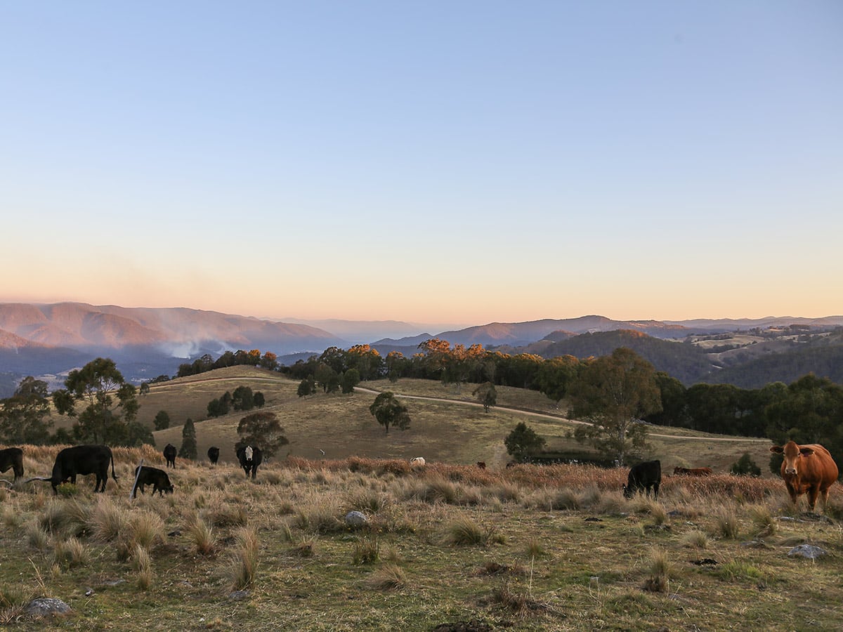 Great Dividing Range, Tenterfield