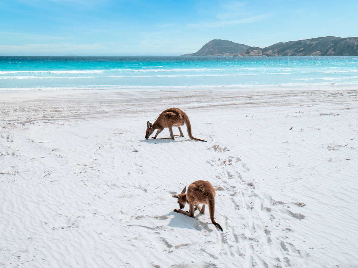 Lucky Bay in WA